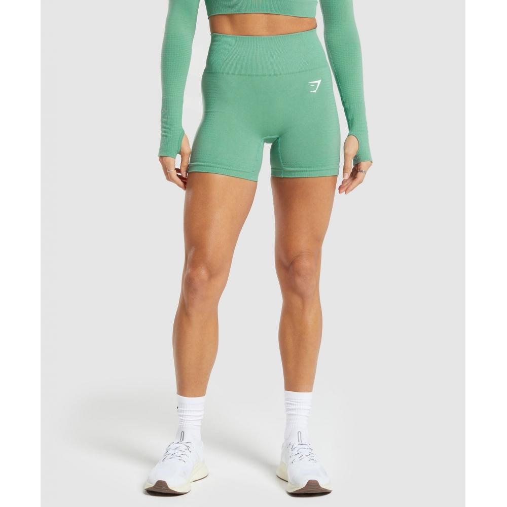 Gymshark Vital Seamless 2.0 Shorts