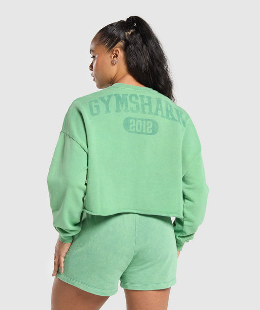 Gymshark Collegiate Shadow Washed Midi Sweatshirt