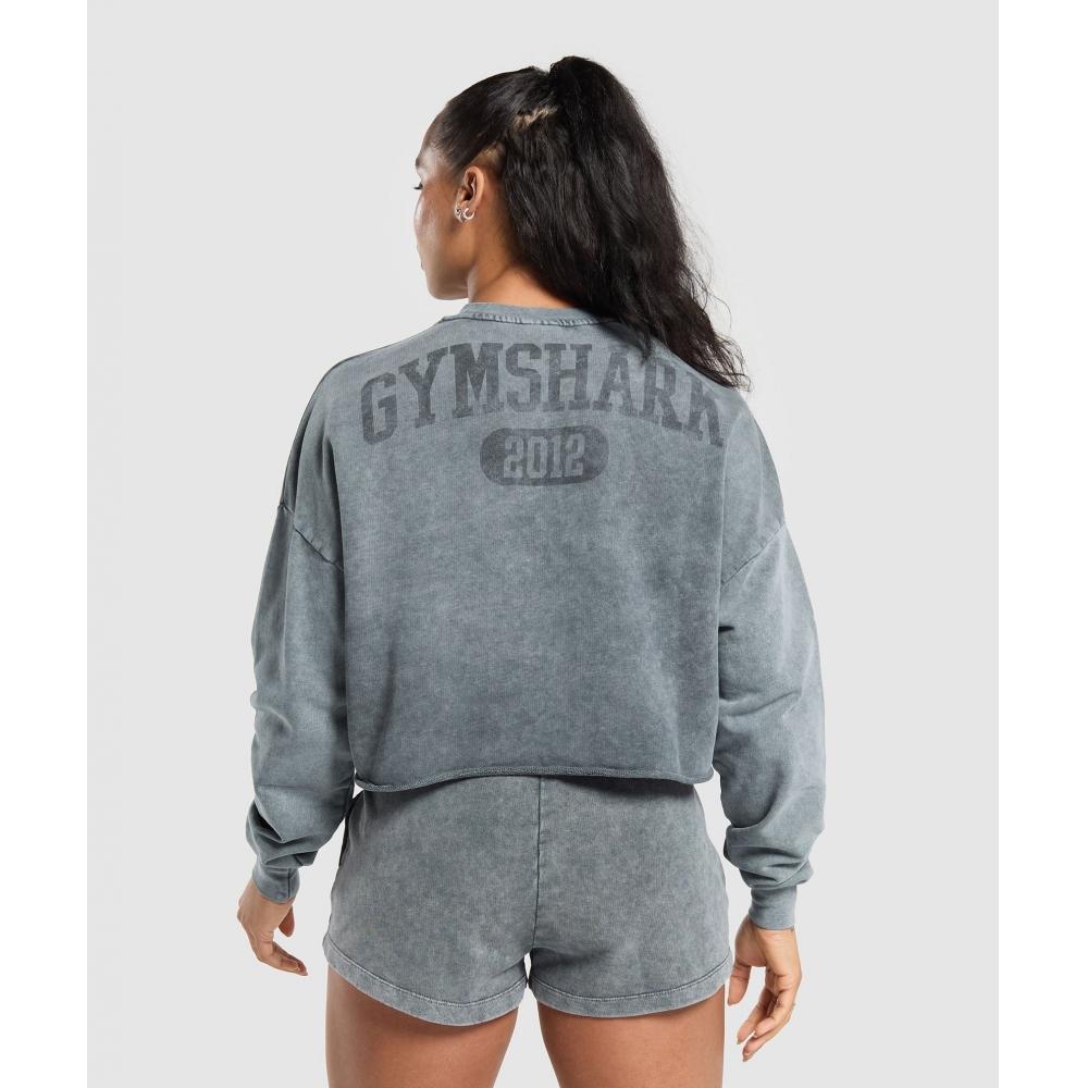 Gymshark Collegiate Shadow Washed Midi Sweatshirt